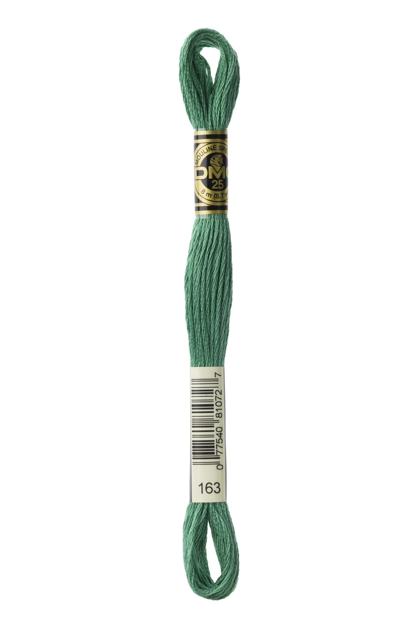 DMC Embroidery Floss 163