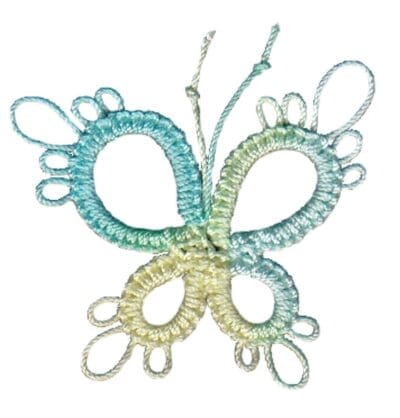 Lizbeth Talla 10 - 161 - Sea Island Citrus