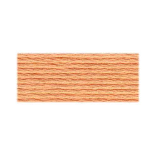DMC Embroidery Floss 3856