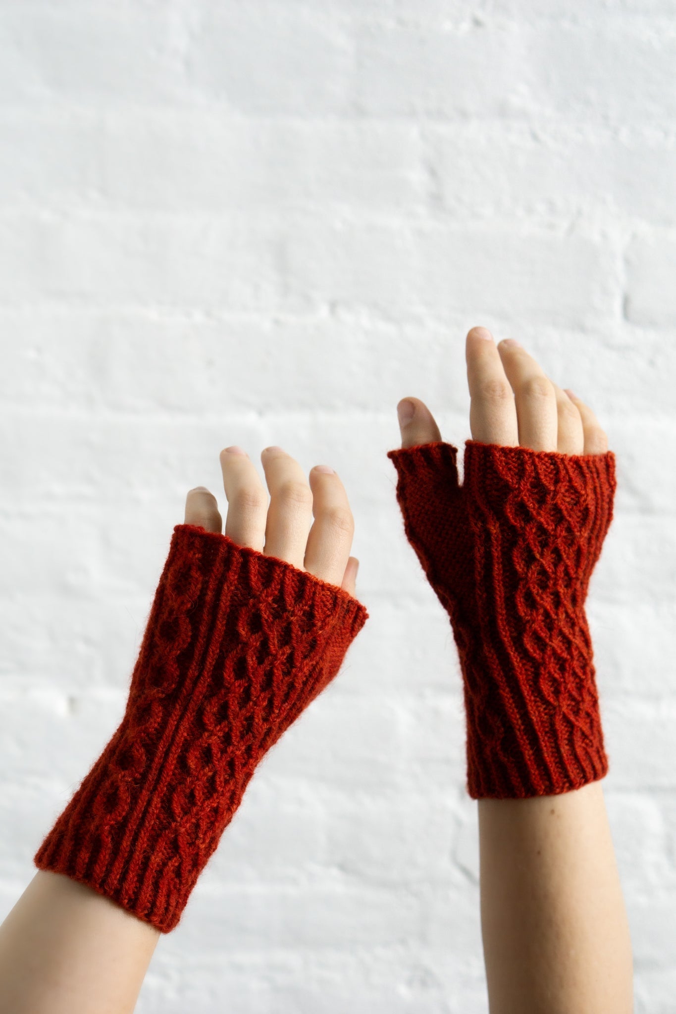 Hasbroucks Mitt Pattern in Zinnia