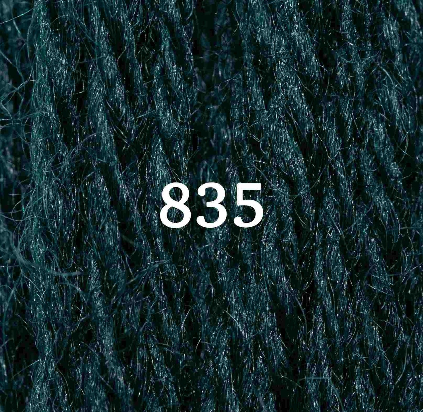 Appletons Tapestry Yarn Hank 835 5g