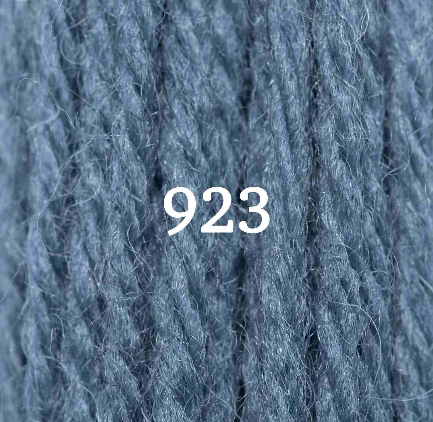 Appletons Tapestry Yarn Hank 923 5g