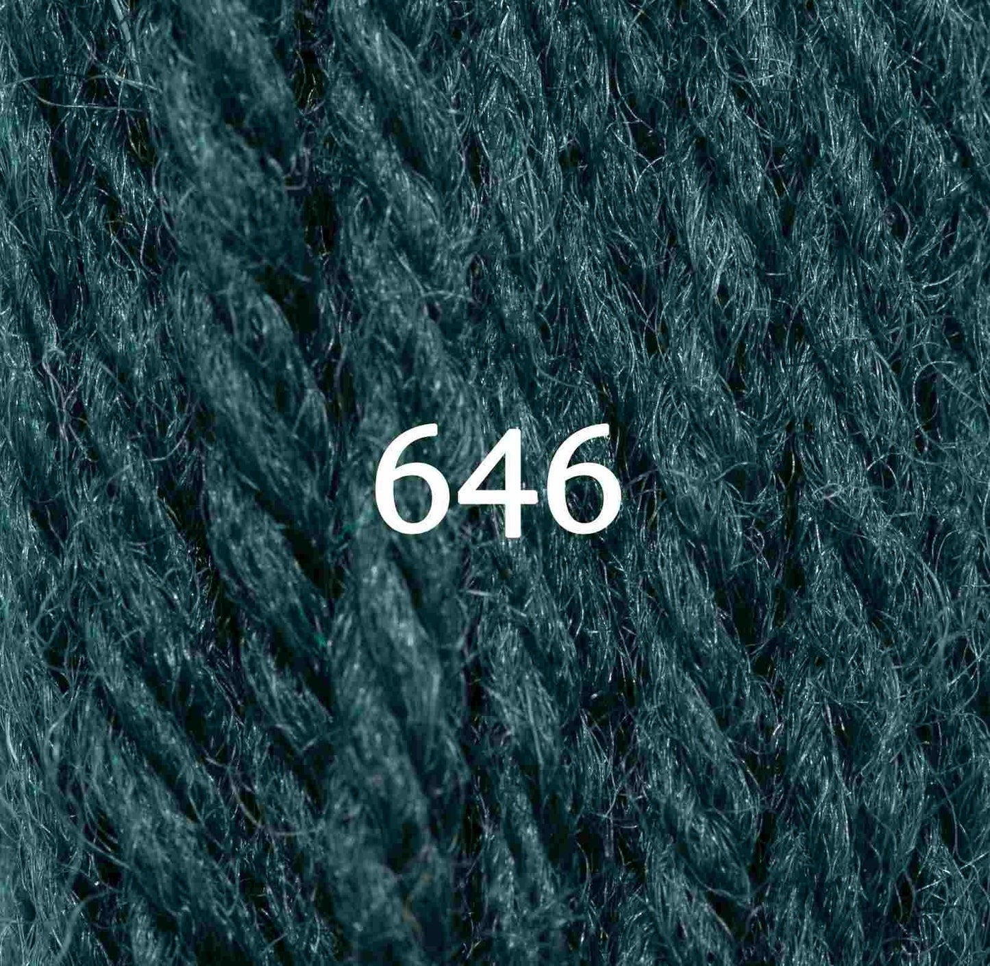 Appletons Tapestry Yarn Hank 646 5g
