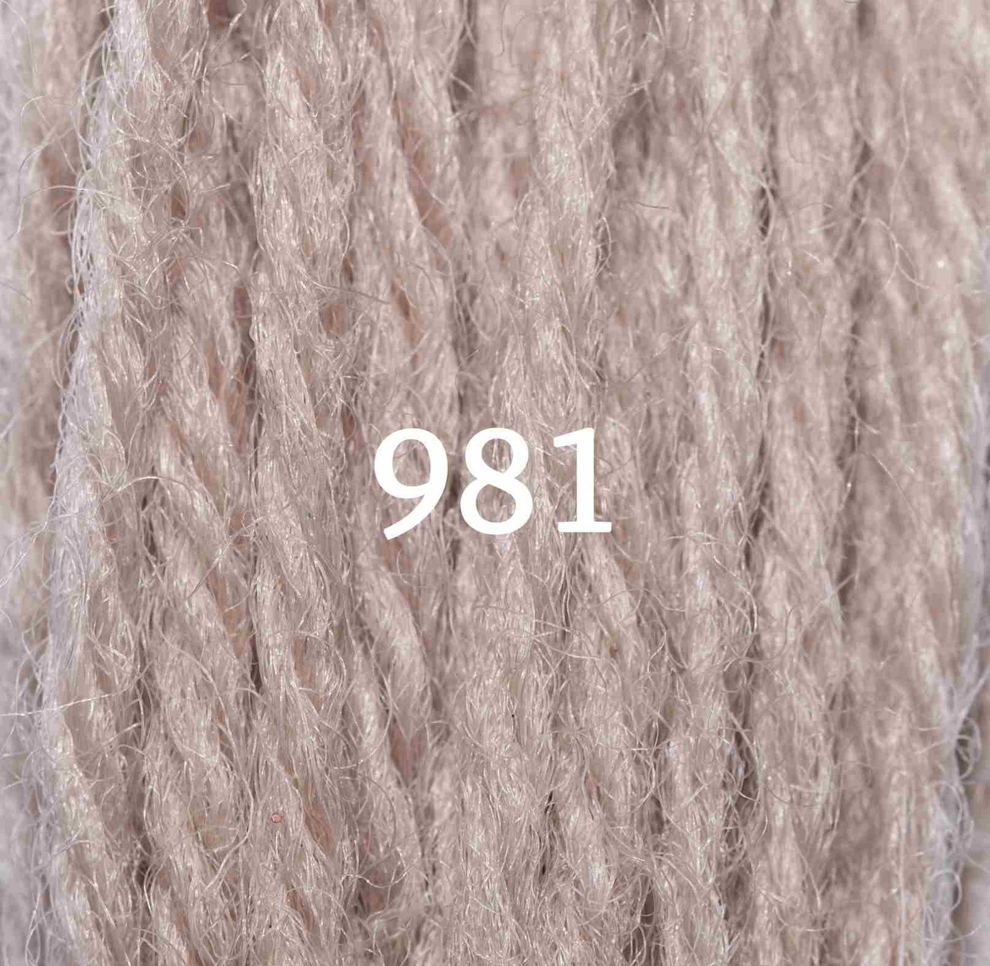 Appletons Tapestry Yarn Hank 981 5g