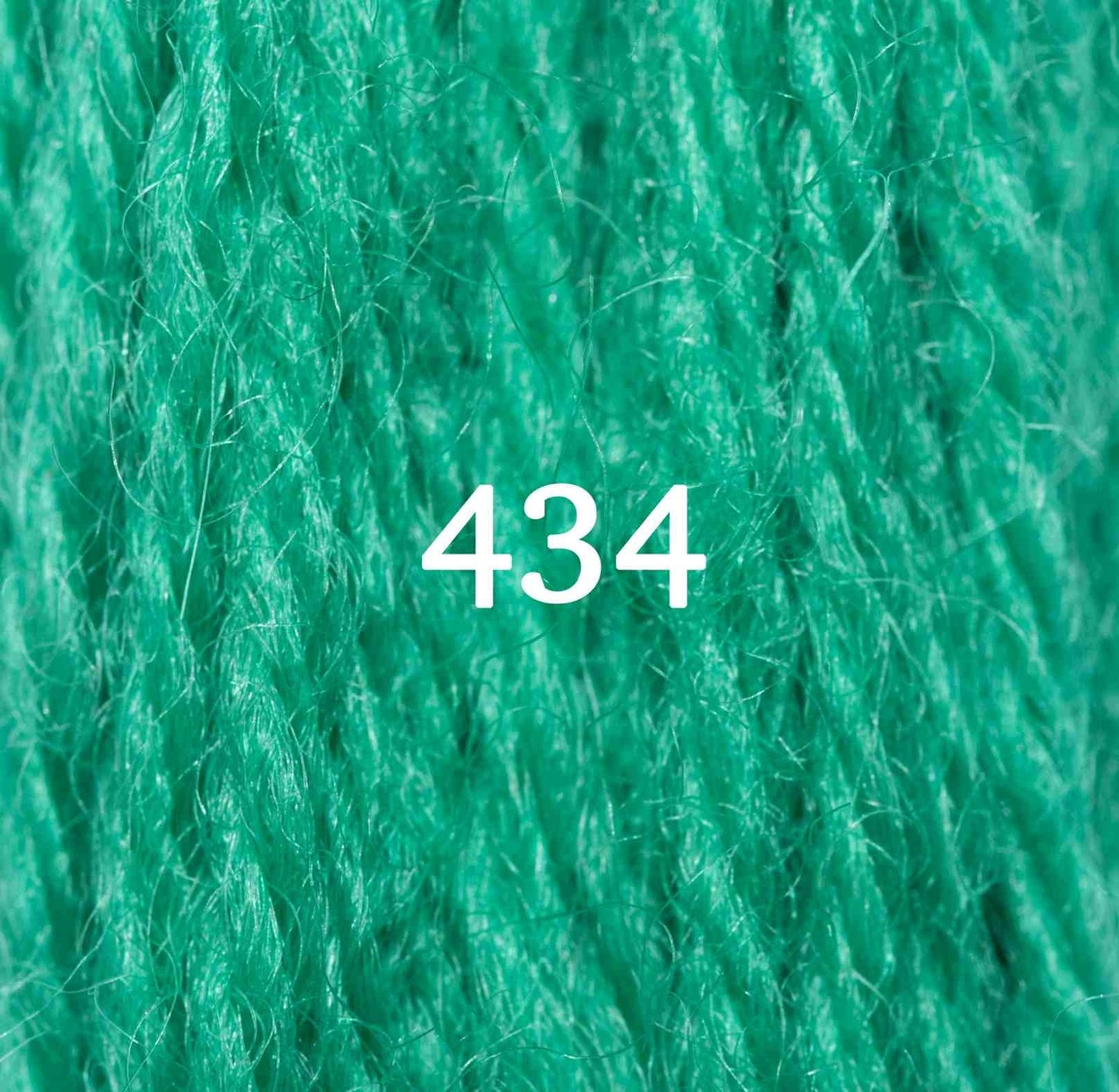 Appletons Tapestry Yarn Hank 434 5g