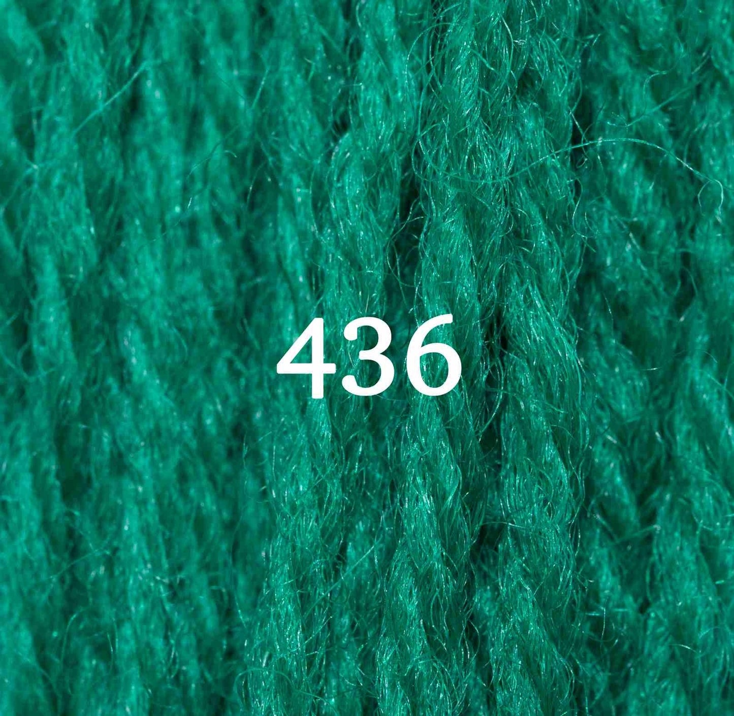 Appletons Tapestry Yarn Hank 436 5g