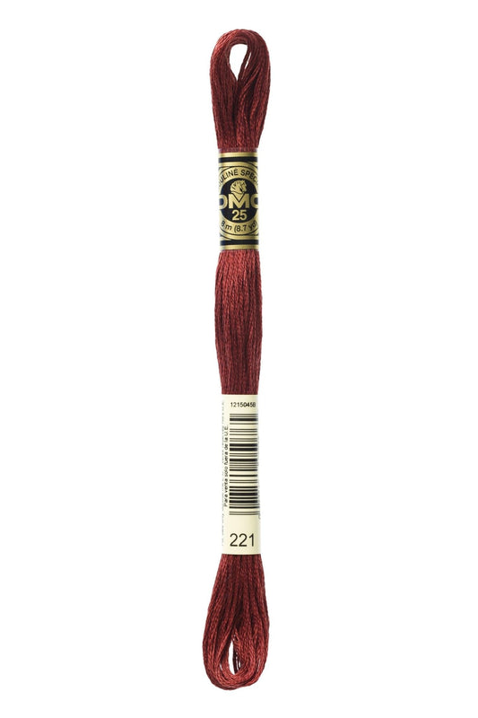 Hilo de bordar DMC 221