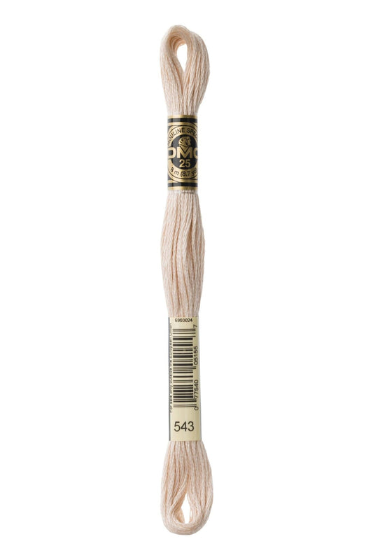 DMC Embroidery Floss 543