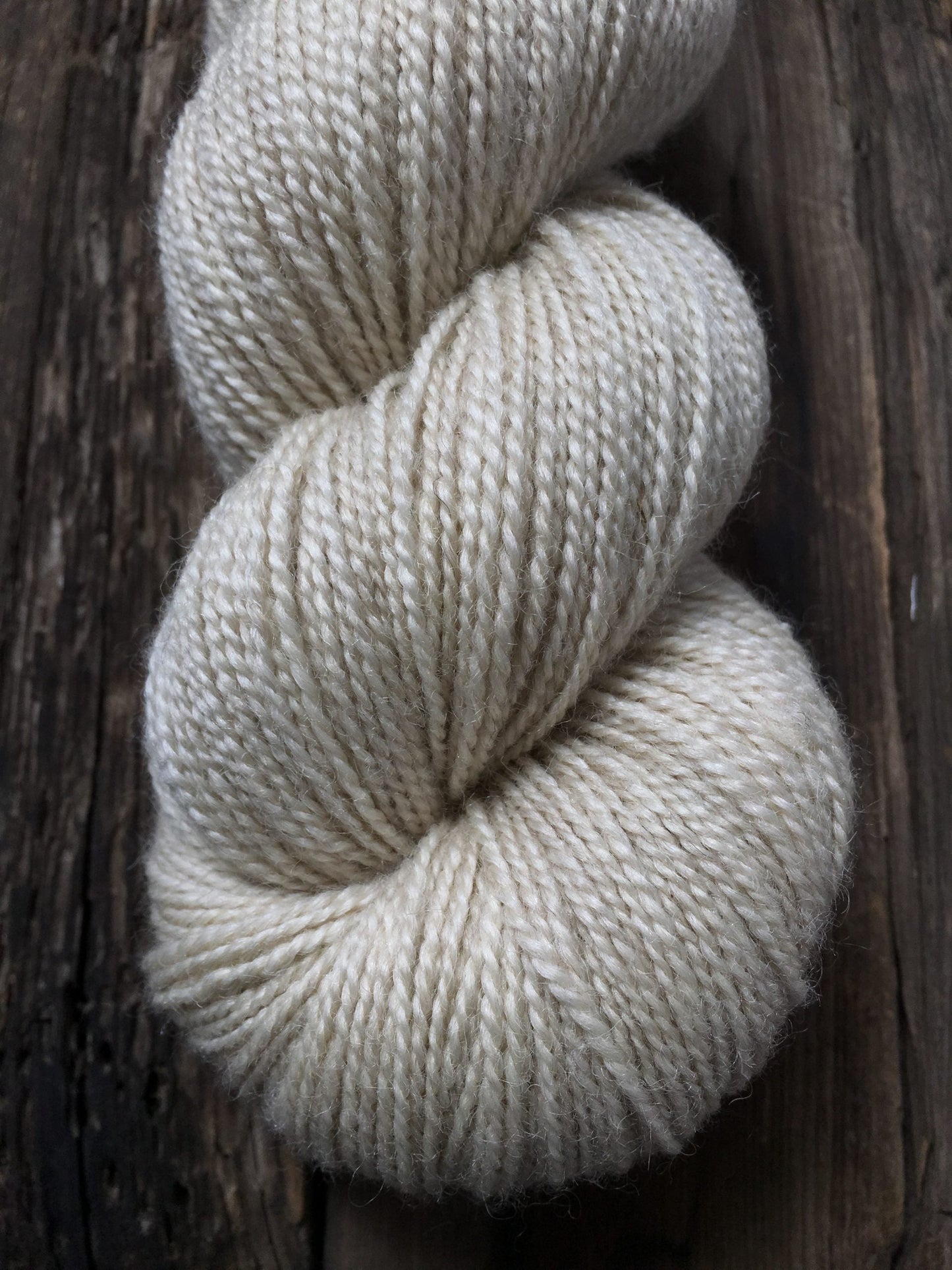 Dream in Color Butterfly BFL