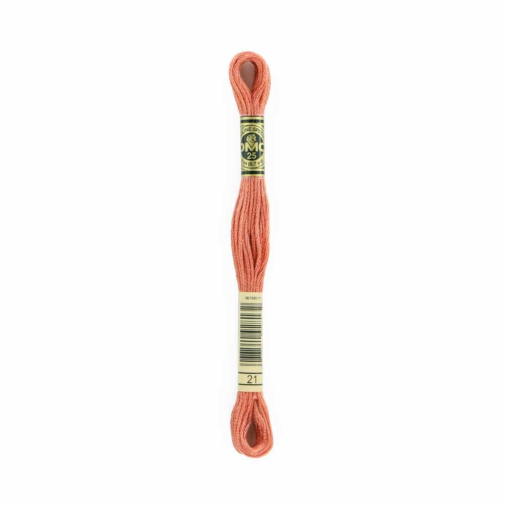 DMC Embroidery Floss 21