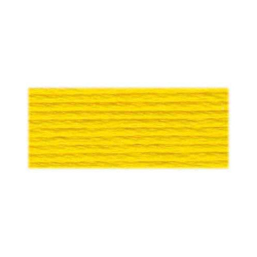 DMC Embroidery Floss 973