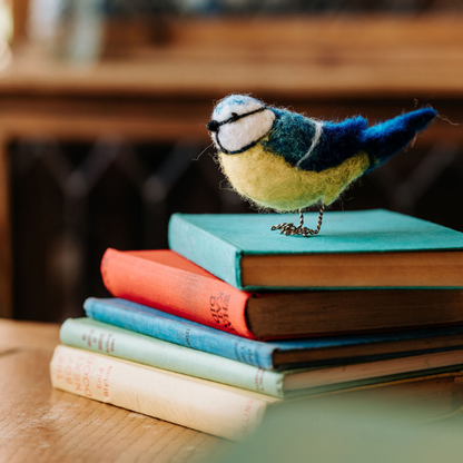 Blue Tit Needle Felting Kit