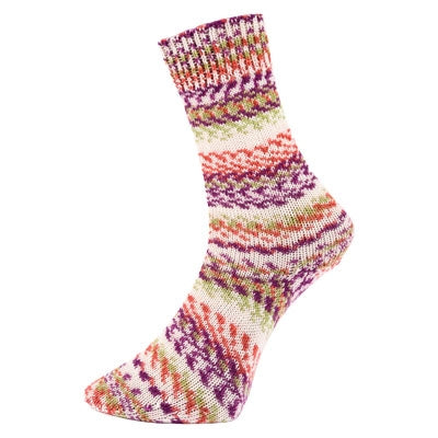 Calcetines Pro Lana Fjord Multicolor
