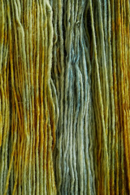 Photo of Gusto Wool Olio yarn in colour 2301