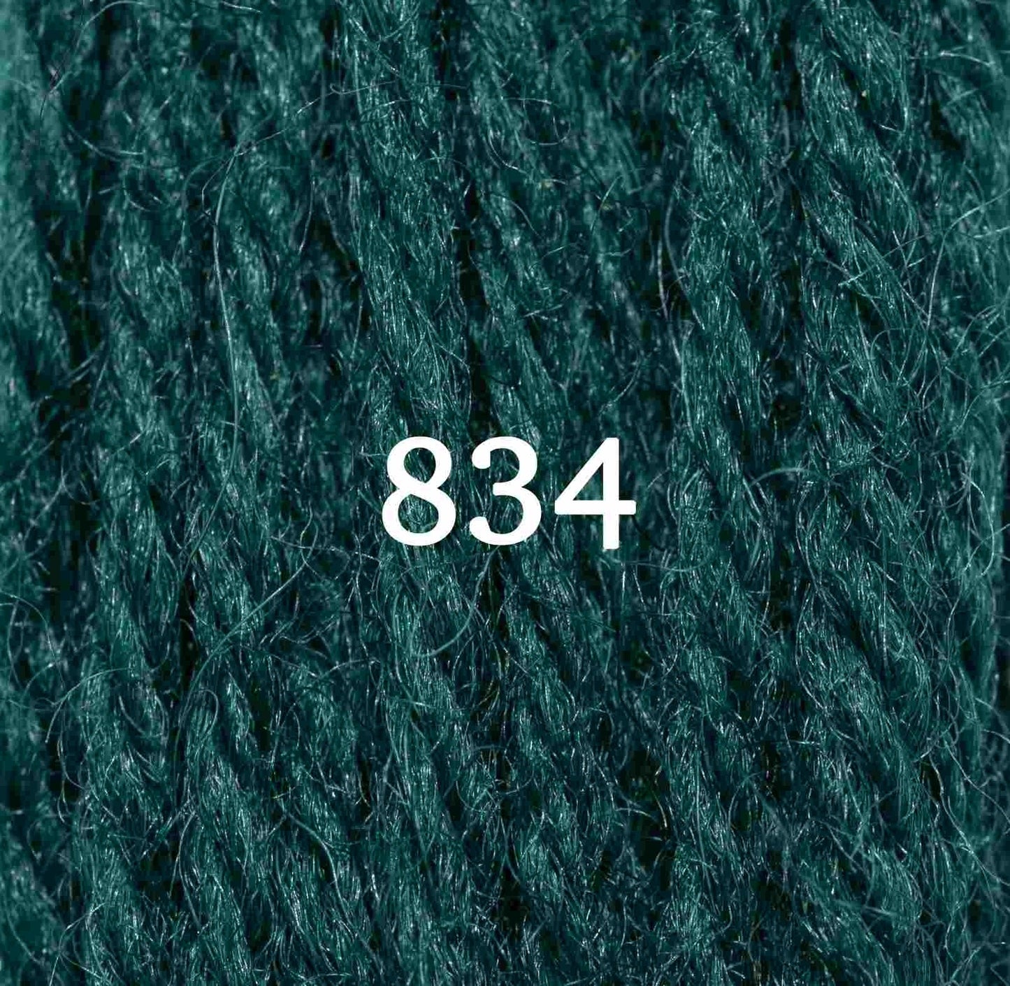 Appletons Tapestry Yarn Hank 834 5g
