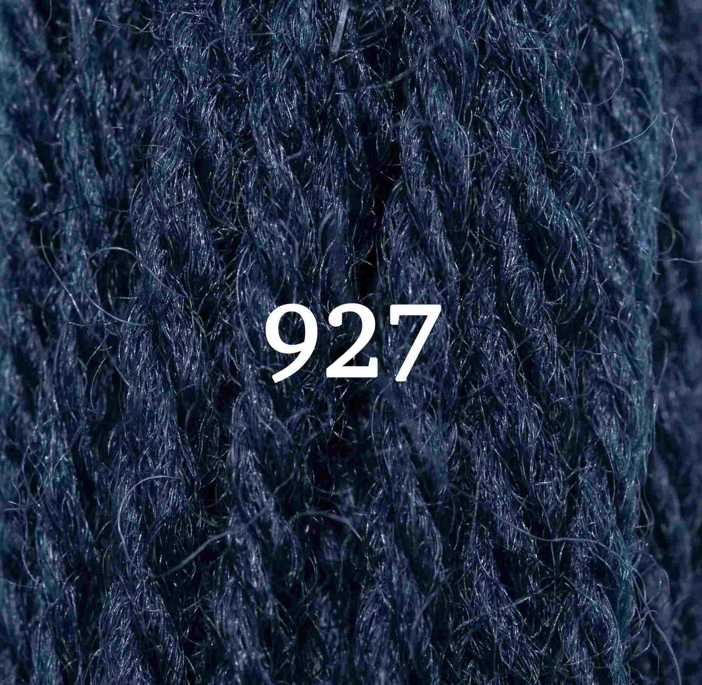 Appletons Tapestry Yarn Hank 927 5g