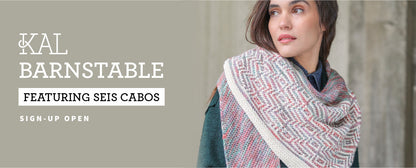 Malabrigo KAL Fall 2025: Barnstable Shawl in Seis Cabos