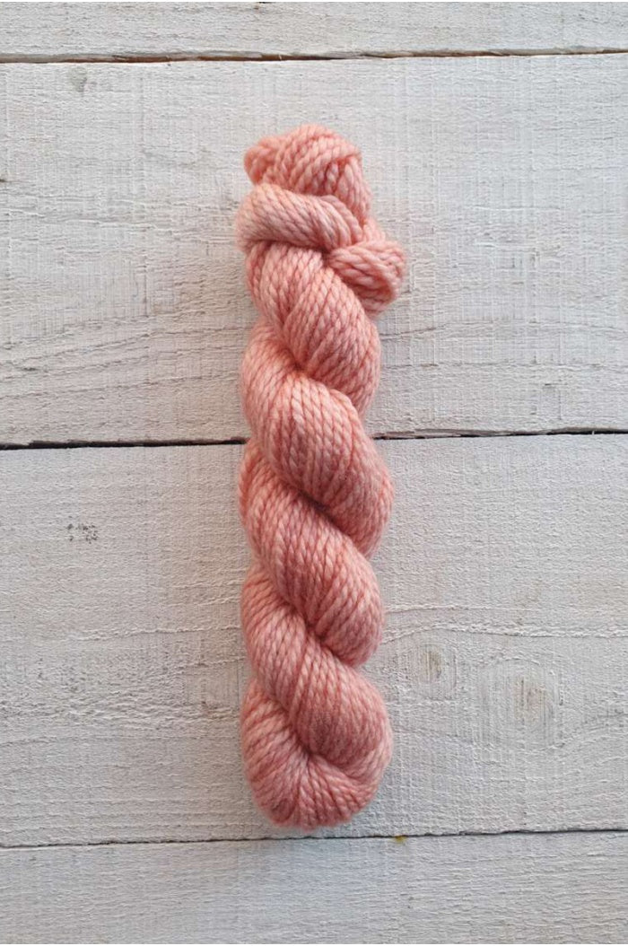 Photo of a skein of Manos del Uruguay Sami in colour Lotus